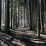 Wanderlust Chiemgau באד אנדורף