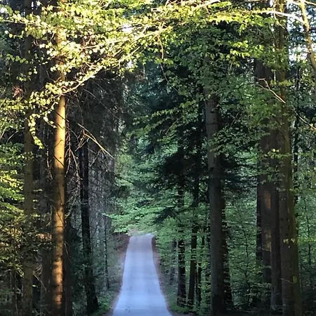 Wanderlust Chiemgau Tatil Evi