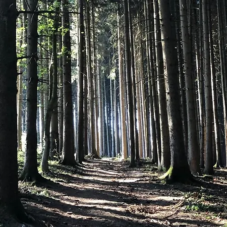 Appartamento Wanderlust Chiemgau *