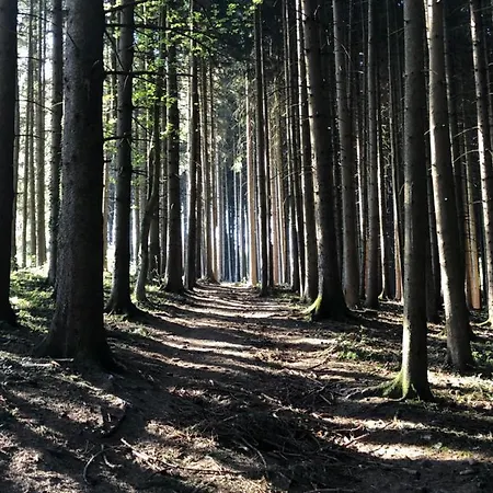 Appartamento Wanderlust Chiemgau *